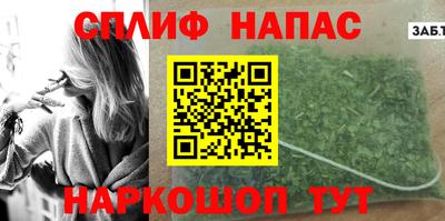 гидра Моздок