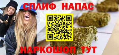 гидра Моздок