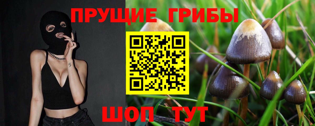 Псилоцибиновые грибы Magic Shrooms  Вход с VPN  Электрогорск 